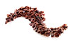 esempio prodotto bean to bar line A